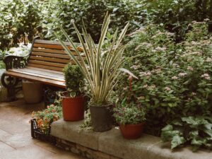 Hoe zorg je voor meer rust in je tuin als je veel thuiswerkt?
